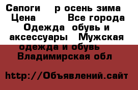 Сапоги 35 р.осень-зима  › Цена ­ 700 - Все города Одежда, обувь и аксессуары » Мужская одежда и обувь   . Владимирская обл.
